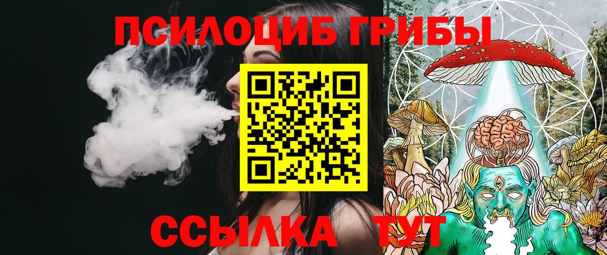 Каспийск  Псилоцибиновые грибы Psilocybine cubensis  Вход с VPN  Галлюциногенные грибы мицелий 