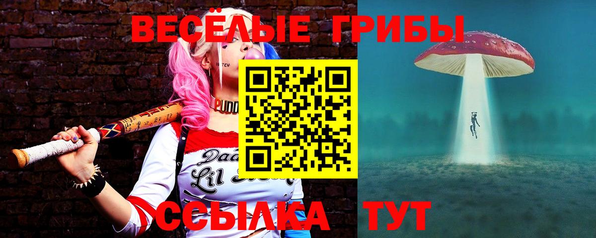 Псилоцибиновые грибы GOLDEN TEACHER Каспийск